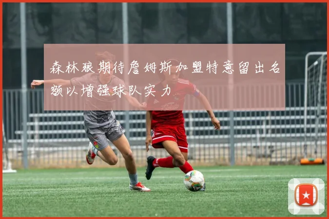 森林狼期待詹姆斯加盟特意留出名额以增强球队实力